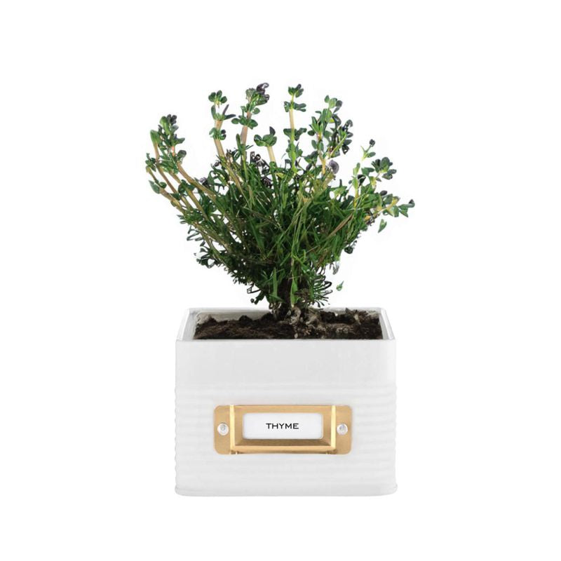 TYPHOON - OTTO Square Herb Planter