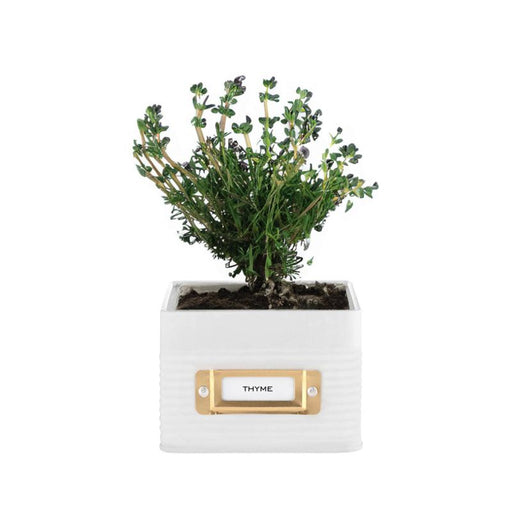 TYPHOON - OTTO Square Herb Planter