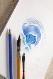 Clairefontaine - Painting on Multi Technic A3 250g  40S  29.7x42cm