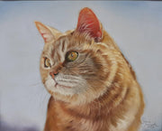 Clairefontaine - Pastelmat Pack of 5 Sheets 360g  Sienna  19.7x27.5in