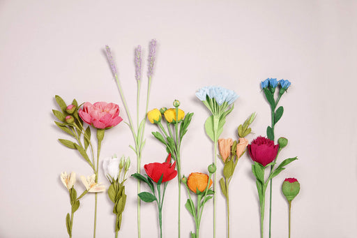 Clairefontaine - Crepe Paper, 10 rolls 25x100cm, Bright assortment