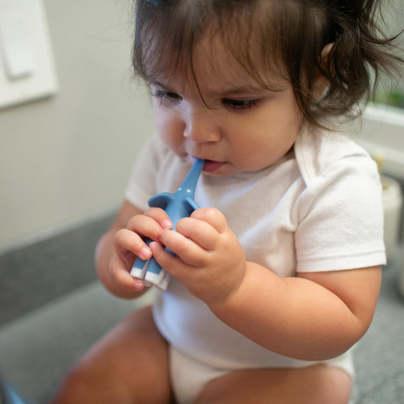 Dr Brown's - Infant-to-Toddler Toothbrush, Elephant, Blue, 1-Pack