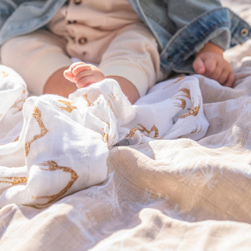 aden + anais - Organic Swaddles | Safari Dreams - Neutral