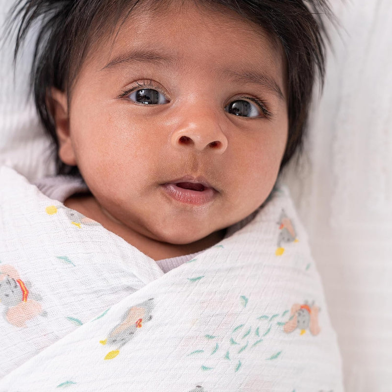 aden + anais - Swaddles | Disney + Friends 2-Pack - Neutral