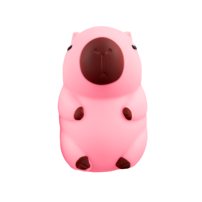 Chubby - Capybara