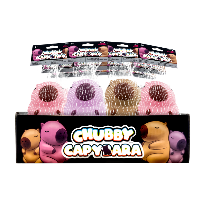Chubby - Capybara