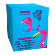 Incredible - Flamingo Ride on Noodle