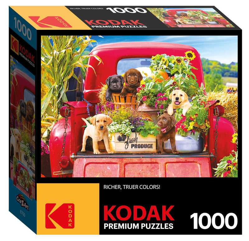 Kodak - 1000pcs Puzzle
