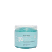 BCL Spa - Sugar Scrub Natural Remedy Arnica + Aloe | 16 oz