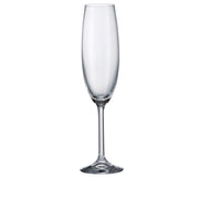 Crystalite Bohemia - Gastro/Colibri Champagne Flute Stemmed Glass 220 ml, Set of 6
