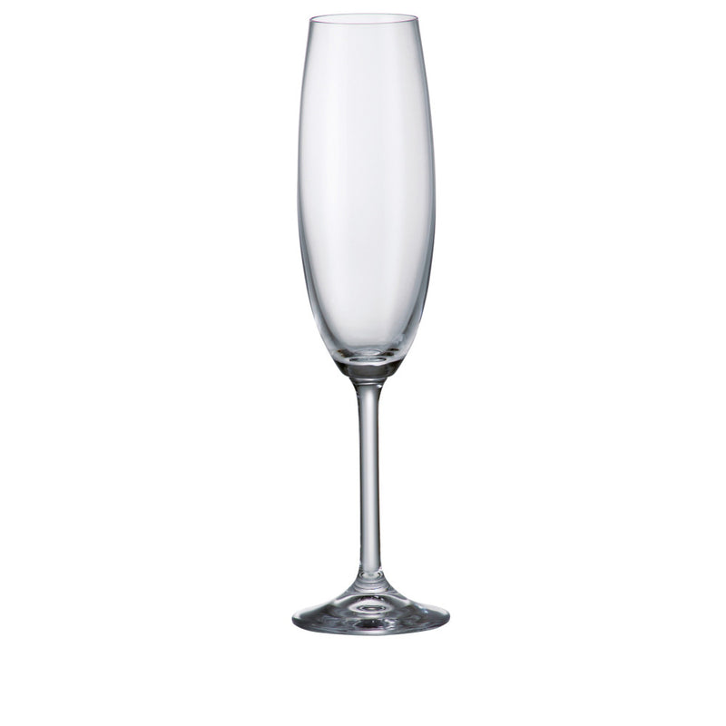 Crystalite Bohemia - Gastro/Colibri Champagne Flute Stemmed Glass 220 ml, Set of 6