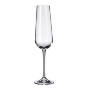 Crystalite Bohemia - Amundsen/Ardea Flute 220 ml, Set of 6