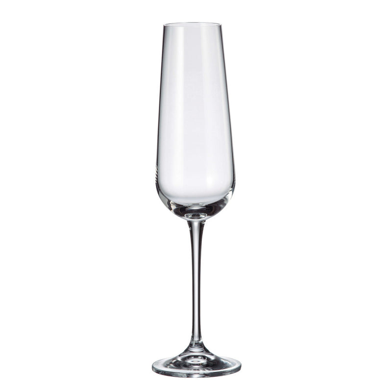 Crystalite Bohemia - Amundsen/Ardea Flute 220 ml, Set of 6
