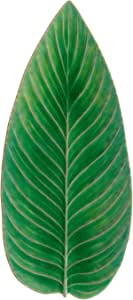 Costa Nova - Riviera Tomate Strelizia Leaf