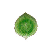 Costa Nova - Riviera Tomate Hydrangea Leaf