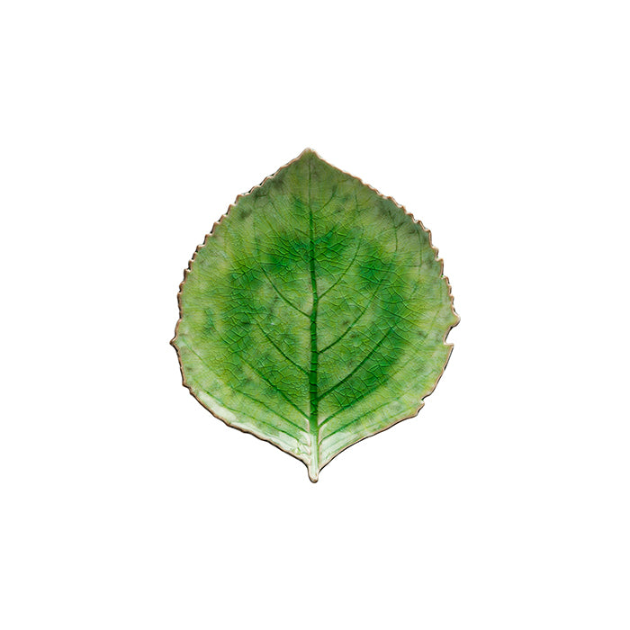Costa Nova - Riviera Tomate Hydrangea Leaf