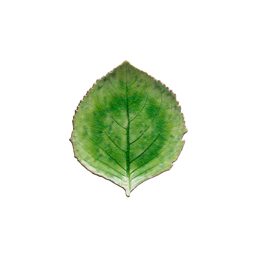 Costa Nova - Riviera Tomate Hydrangea Leaf