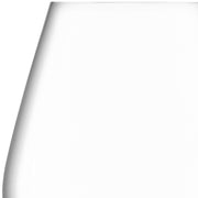 LSA - Borough Champagne Tulip Glass 285 mL Clear (4 Pack)