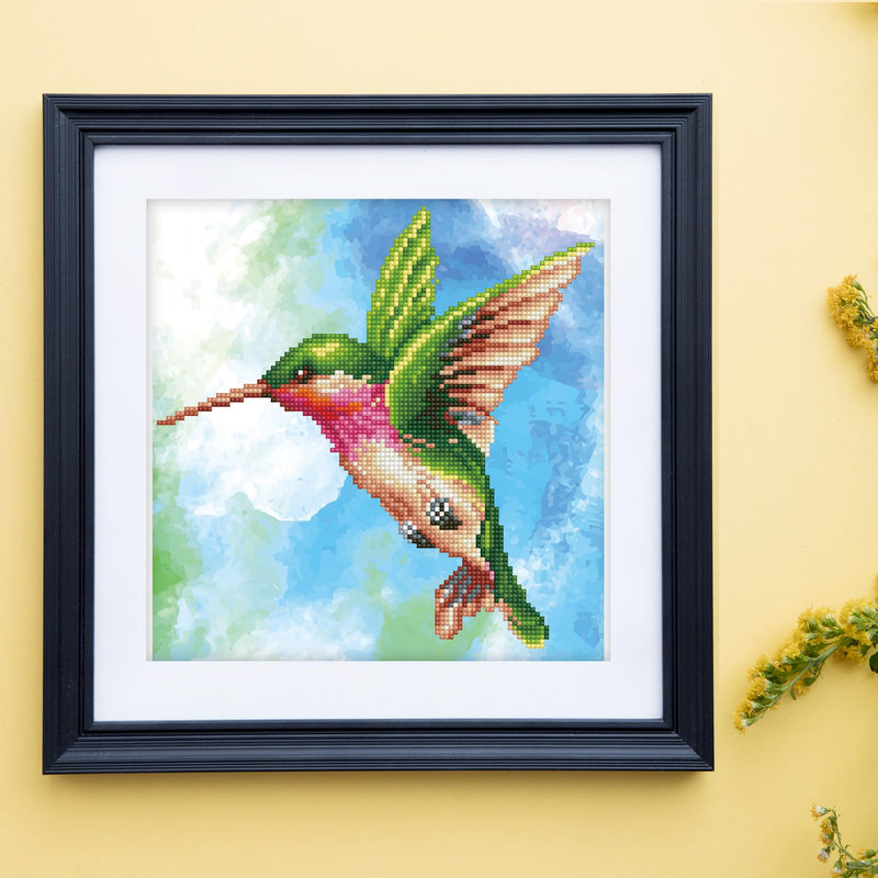 DIAMOND DOTZ - Hummingbird 36x37 - Limolin 