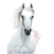 DIAMOND DOTZ - Imperial Stallion - Limolin 