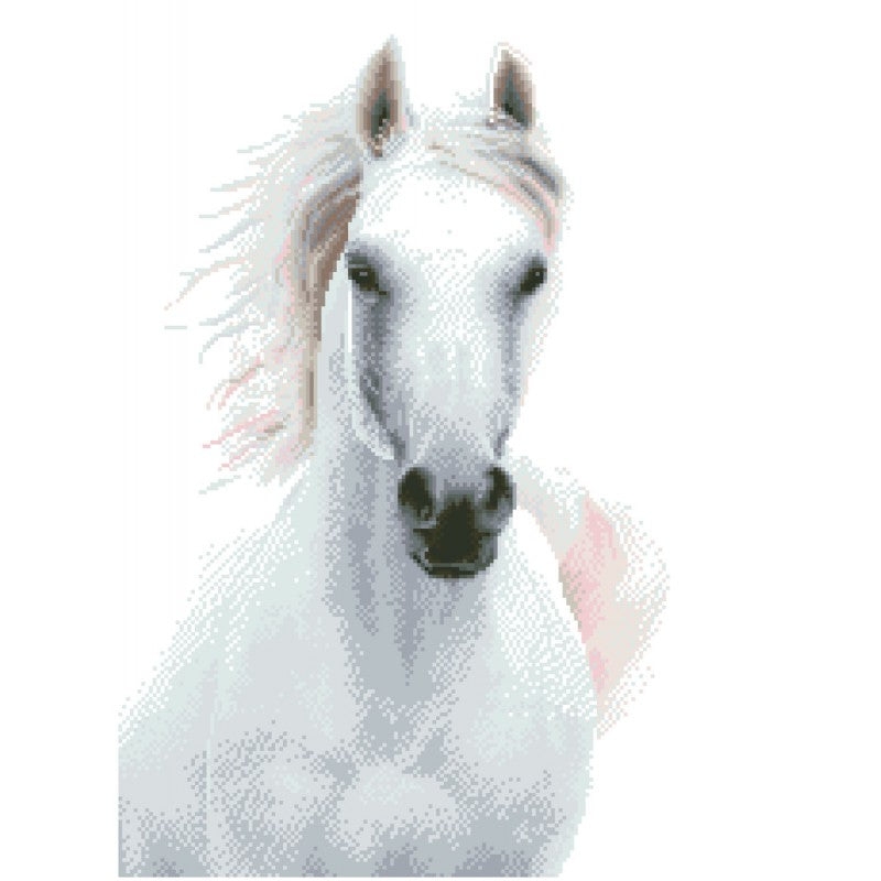 DIAMOND DOTZ - Imperial Stallion - Limolin 