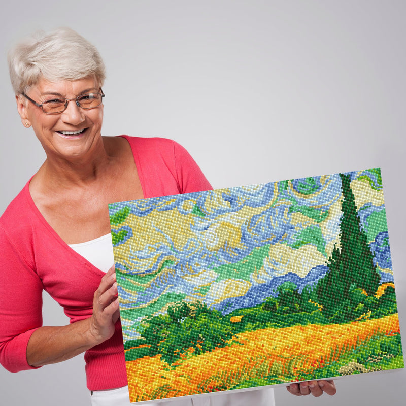 DIAMOND DOTZ - Wheat Fields (Van Gogh) - Limolin 