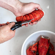 Debuyer - Seafood Shears with SS Blades - Limolin 