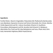 Desert Essence - Desert Essence M.Wash Cool Mint - 480 ml - Limolin 