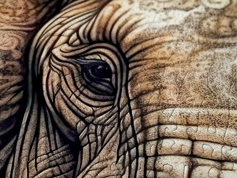 ENJOY - Ancestral Patterns (1000-Piece Puzzle) - Limolin 