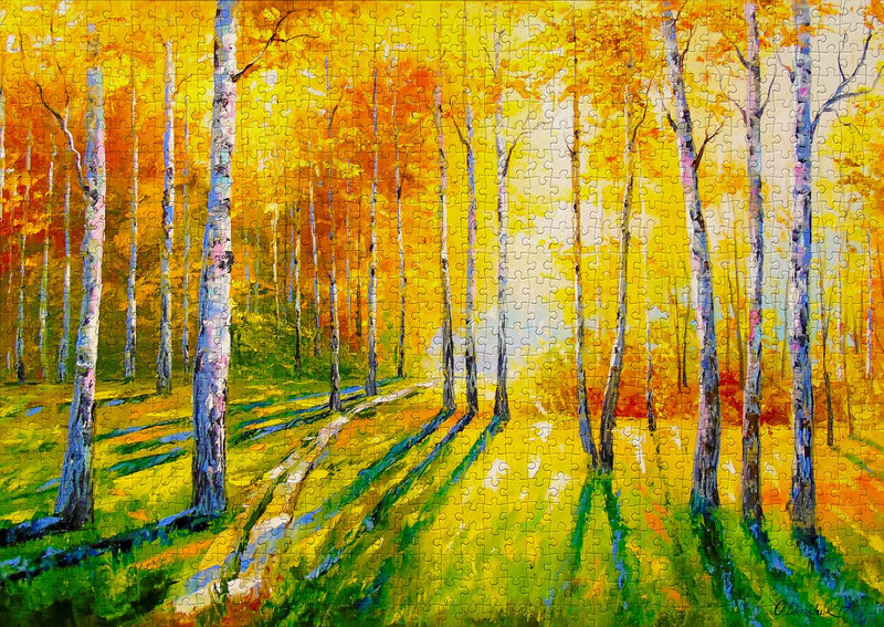 ENJOY - Birch Grove (1000-Piece Puzzle) - Limolin 