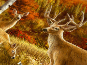 ENJOY - Somewhere in a Field (1000-Piece Puzzle) - Limolin 