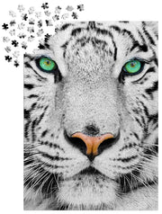ENJOY - White Siberian Tiger (1000-Piece Puzzle) - Limolin 