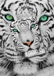 ENJOY - White Siberian Tiger (1000-Piece Puzzle) - Limolin 