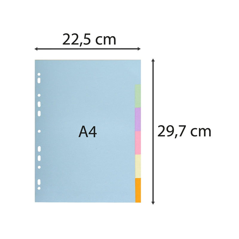 EXACOMPTA - DIVIDERS A4 170G 6P PASTEL - ASSORTED COLOURS - Limolin 