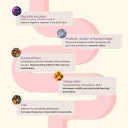 Ecotrend - IntestVita Transit - Limolin 