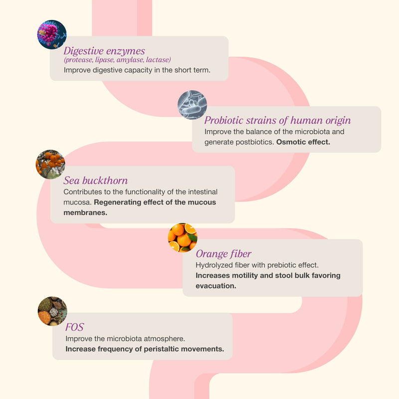 Ecotrend - IntestVita Transit - Limolin 