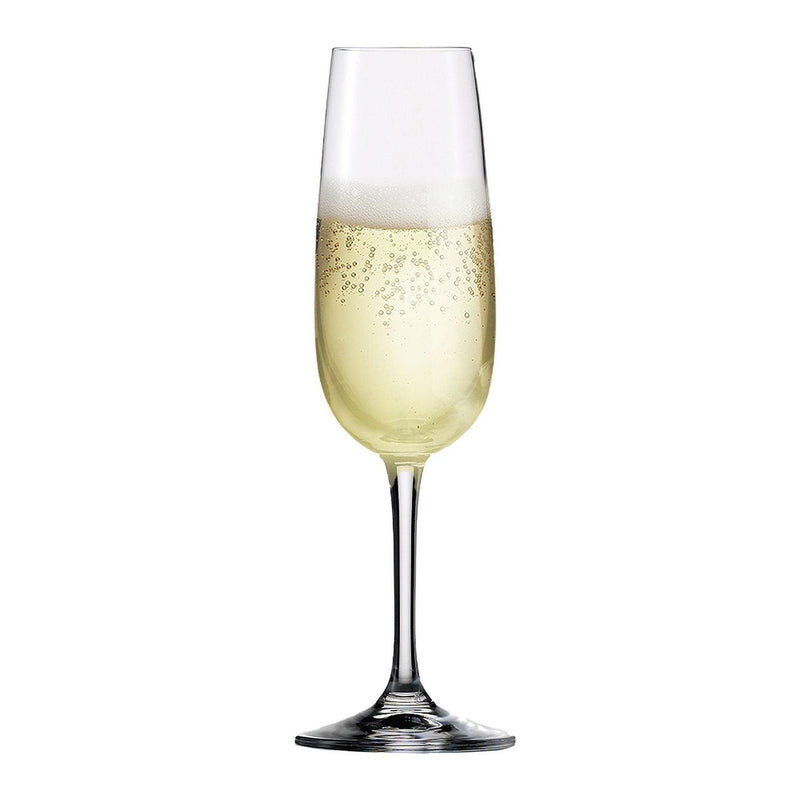 Eisch - Sensis Plus Vino Nobile Champagne Flute 77oz (Set of 6) - Limolin 