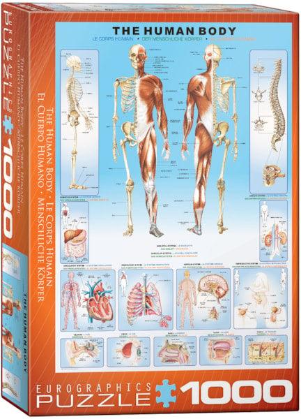 Eurographics - The Human Body (1000-Piece Puzzle) - Limolin 
