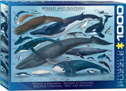Eurographics - Whales & Dolphins (1000-Piece Puzzle) - Limolin 
