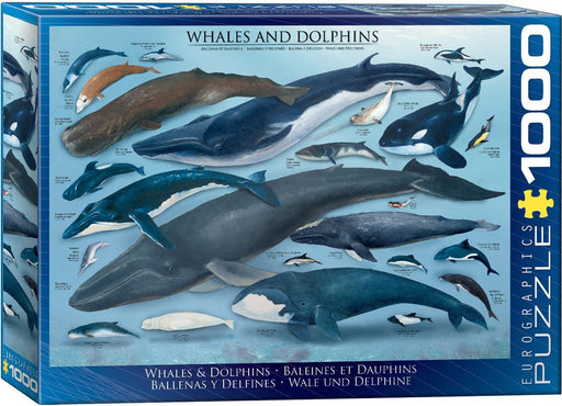 Eurographics - Whales & Dolphins (1000-Piece Puzzle) - Limolin 