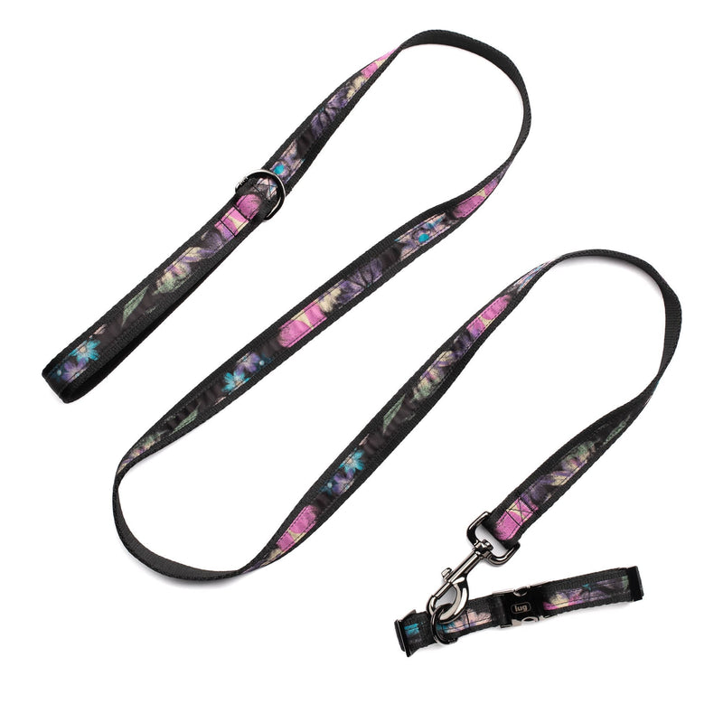 LUG - Fetch Pet Collar and Leash Set
