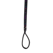 LUG - Fetch Pet Collar and Leash Set