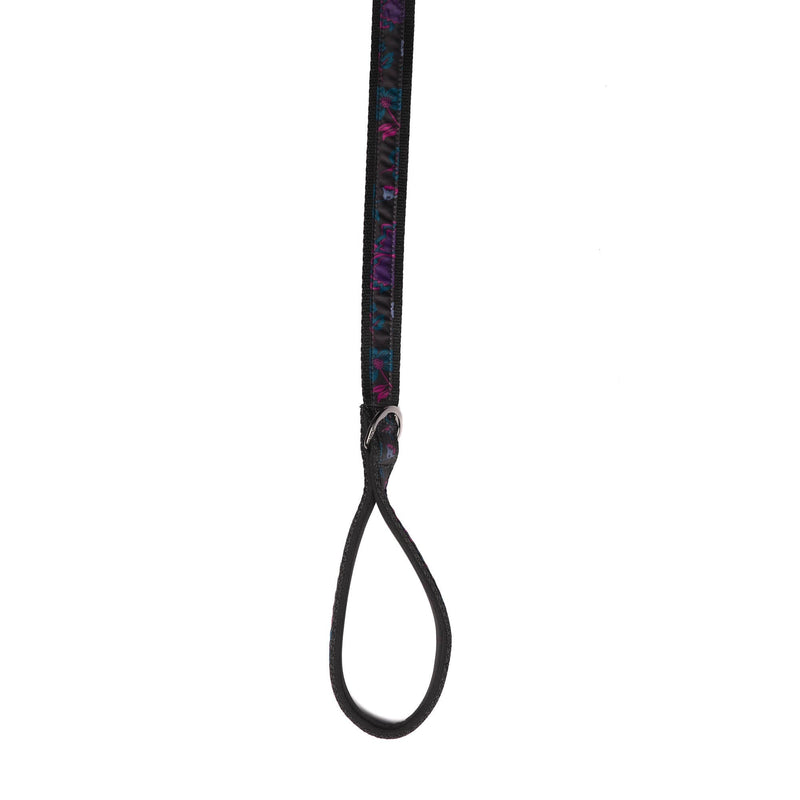 LUG - Fetch Pet Collar and Leash Set