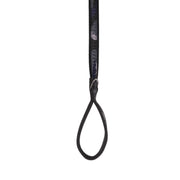 LUG - Fetch Pet Collar and Leash Set