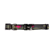 LUG - Fetch Pet Collar and Leash Set