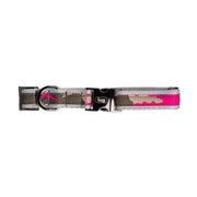 LUG - Fetch Pet Collar and Leash Set