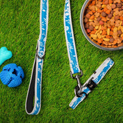 LUG - Fetch Pet Collar and Leash Set