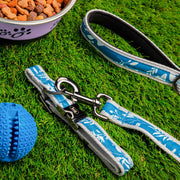 LUG - Fetch Pet Collar and Leash Set