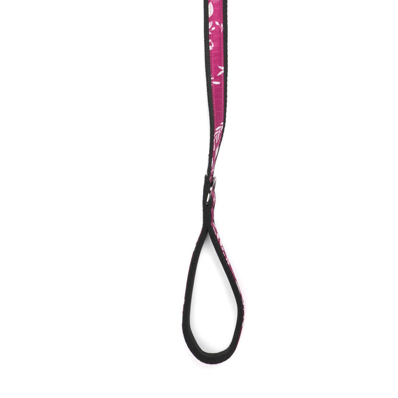 LUG - Fetch Pet Collar and Leash Set