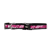 LUG - Fetch Pet Collar and Leash Set